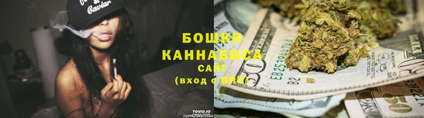 тгк Пересвет
