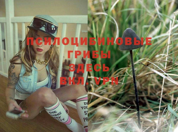 а пвп мука Абаза