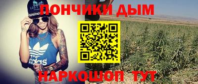 молекула духа Донецк