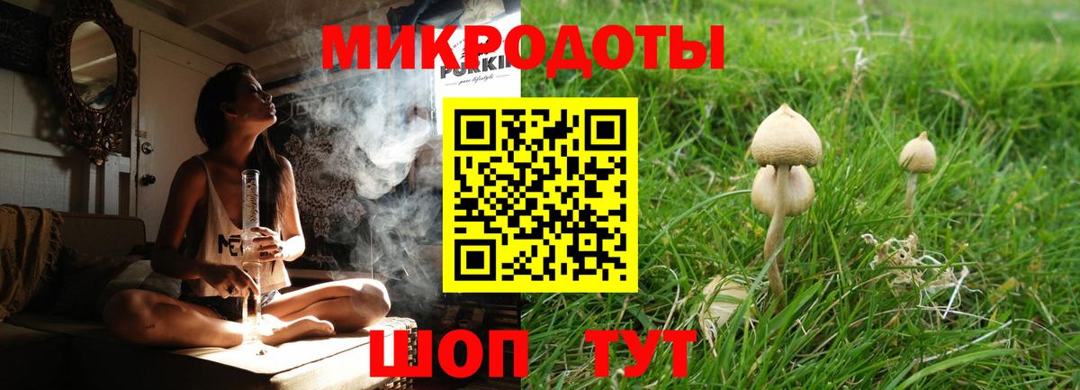 купить наркоту  Псилоцибиновые грибы ЛСД  Вход с VPN  Отрадный 
