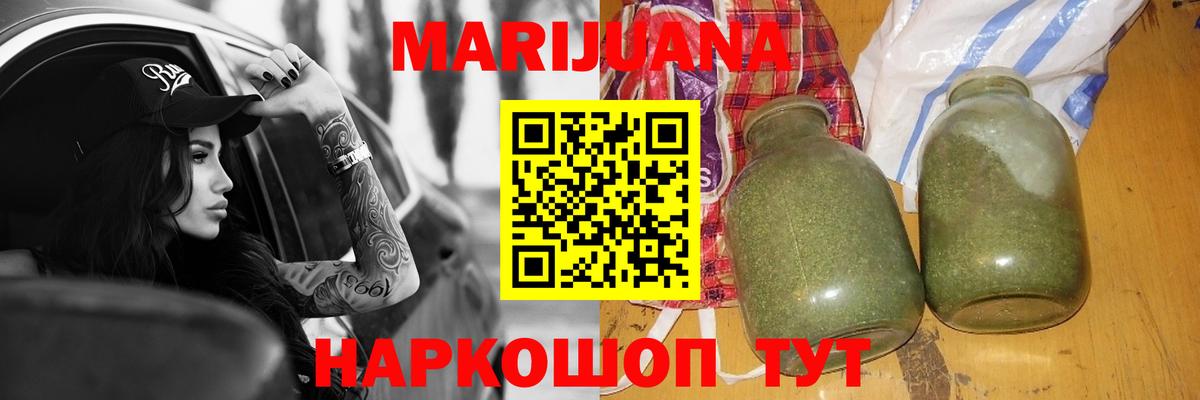 Бошки Шишки планчик Отрадный